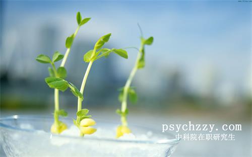 中科院心理所在職讀研心理治療與心理咨詢招生情況