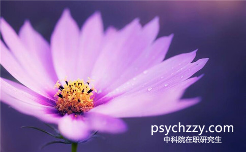 中科院心理所在職讀研怎么報名