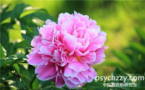 中科院心理所在職研究生能拿到畢業證嗎