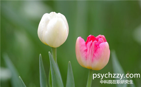 中科院心理研究所同等學力申碩學位好拿到嗎
