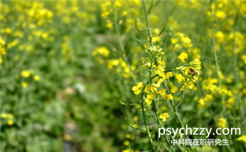 2017年中科院心理所在職研究生報名是什么時候