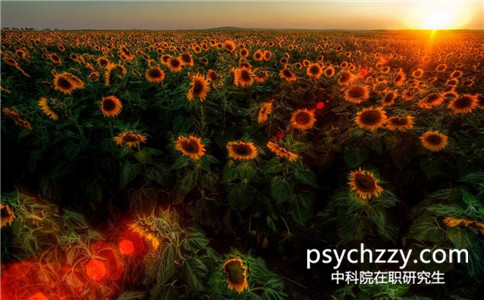 中科院心理所在職研究生是不是只有學位證沒有學歷證