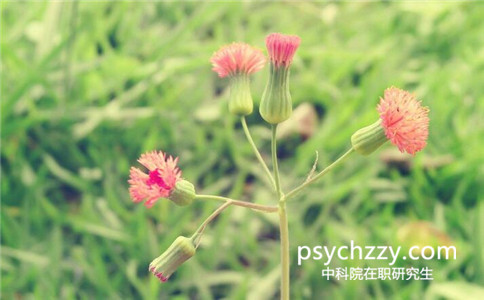 中科院心理所在職研究生