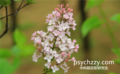 中科院心理所同等學力申碩在職研究生