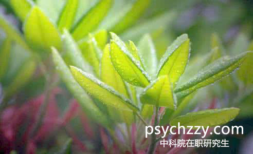中科院心理所在職研究生