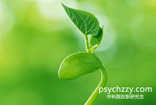 中科院心理所在職研究生