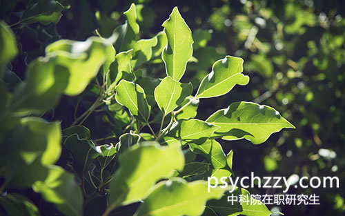 中科院心理所在職研究生