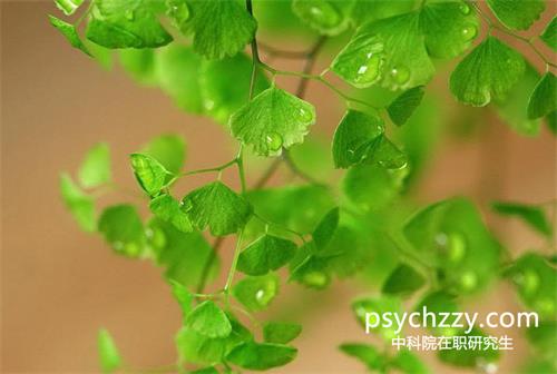 中科院心理所在職研究生