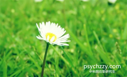 中科院心理所在職研究生