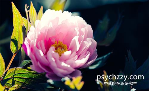 中科院心理所在職研究生