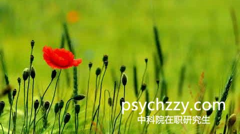 在職研究生
