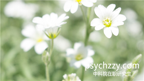 中科院心理所在職研究生