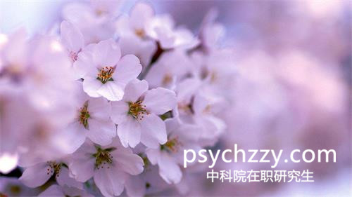 中科院心理所課程研修班能獲得哪些證書