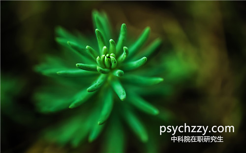 中科院心理所課程研修班的學費貴不貴